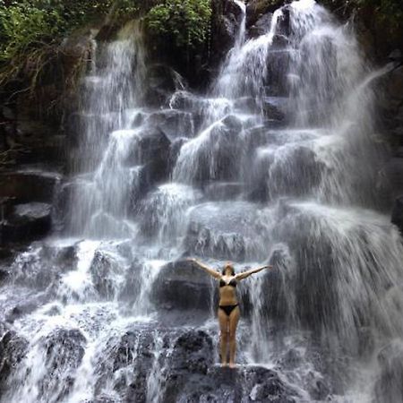 Sanggingan Villa Ubud Buitenkant foto
