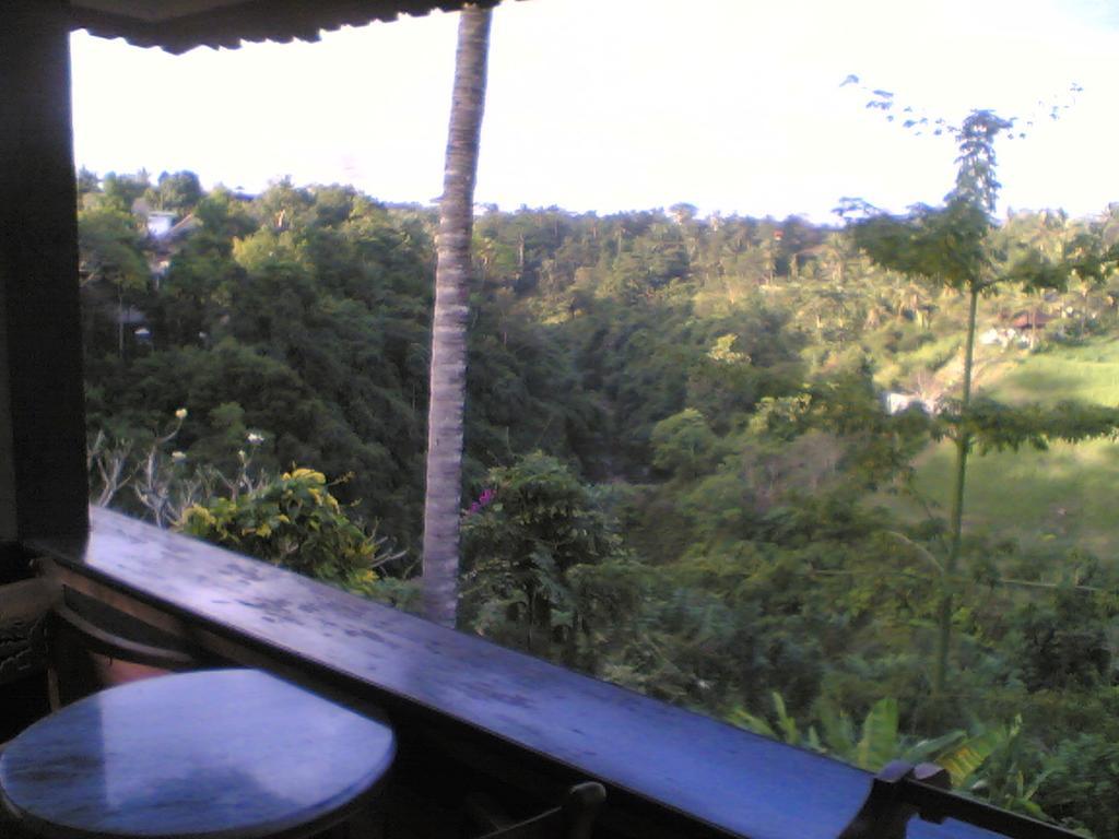 Sanggingan Villa Ubud Buitenkant foto